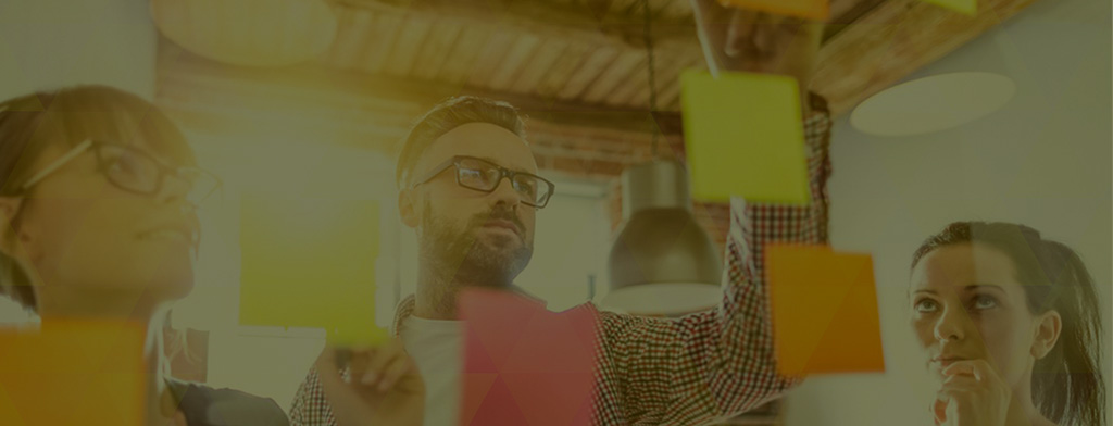Collaboration in E-Services Project