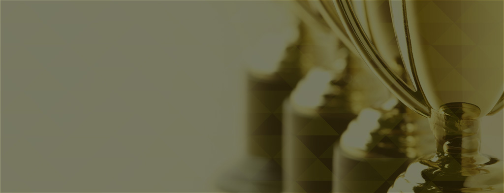 Think Global Awards winner of an International Business Award